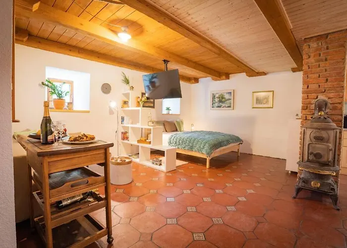 Apartamento Pr' Mirotu Osilnica