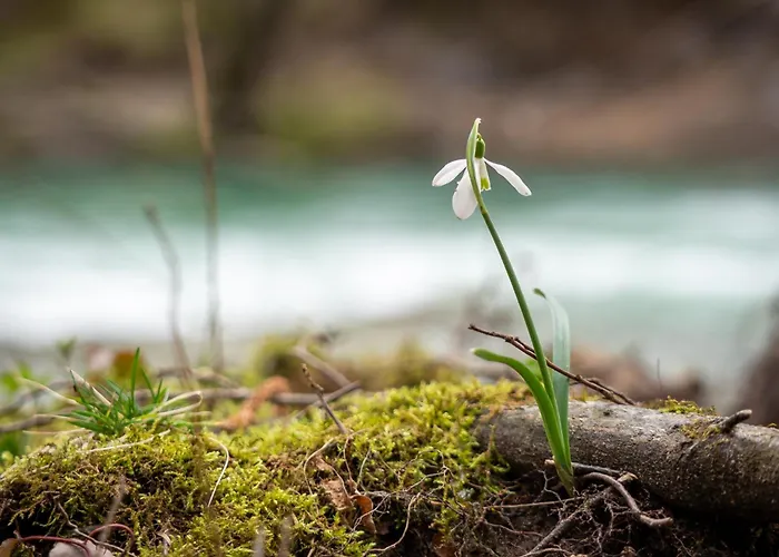 Pr' Mirotu Apartamento